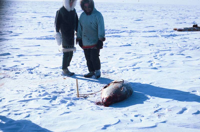 https://arrl-web002.artsrn.ualberta.ca/icrc/ICRC-PDF/Dr. Hunt Photos/Dr. D.E. Hunt photos - Inuvik 1968-69 097.jpg