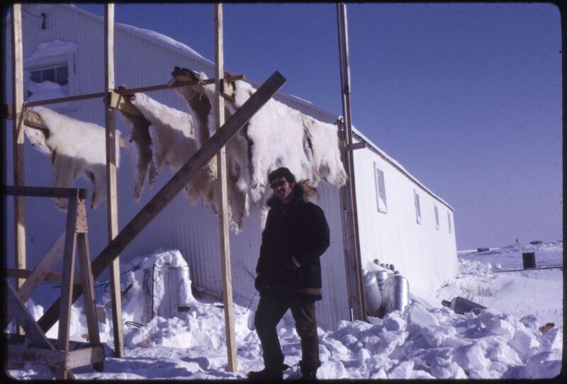 Polar Bear Hides - The Bay Store(Mar '73).jpeg