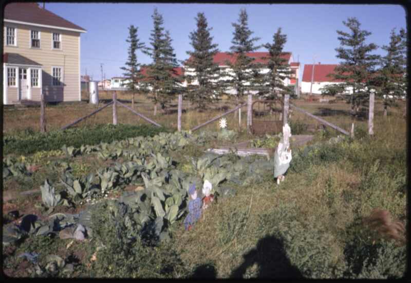 Aklavik Priest`s Garden (Aug `73).jpeg