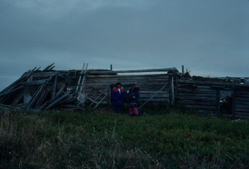 image500.jpg