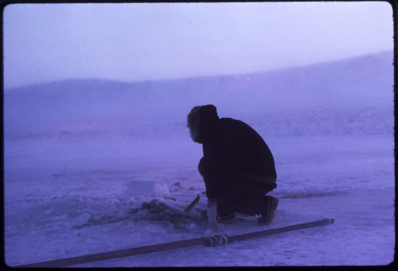 Hornaday River Test Fishing (Nov '73)0.jpg