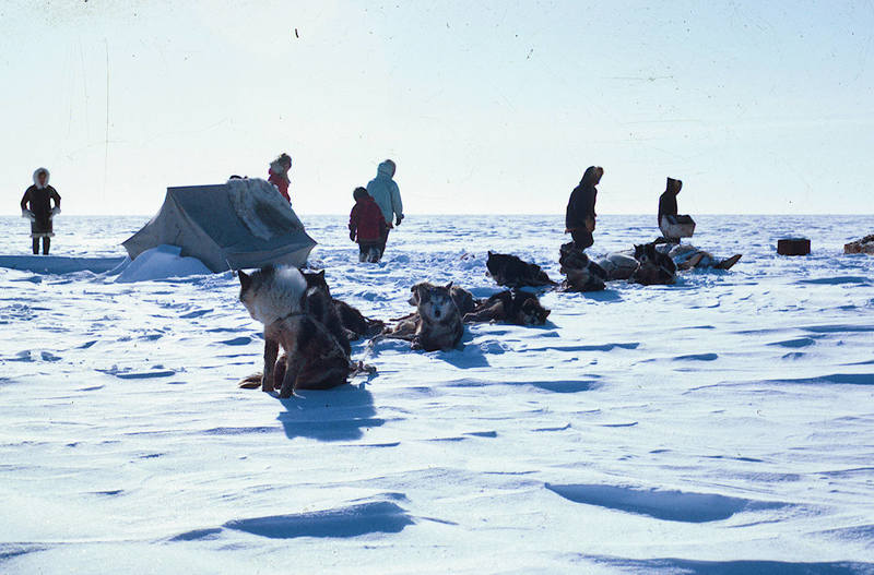 https://arrl-web002.artsrn.ualberta.ca/icrc/ICRC-PDF/Dr. Hunt Photos/Dr. D.E. Hunt photos - Inuvik 1968-69 160.jpg