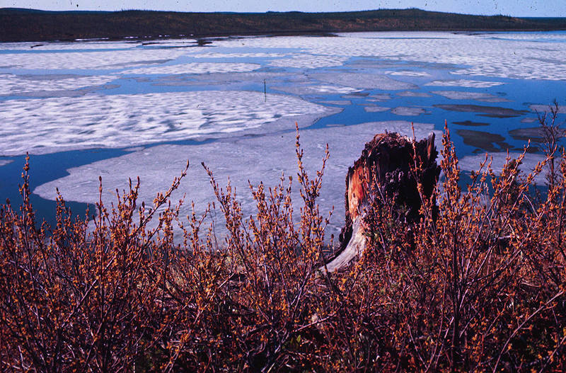 https://arrl-web002.artsrn.ualberta.ca/icrc/ICRC-PDF/Dr. Hunt Photos/Dr. D.E. Hunt photos - Inuvik 1968-69 169.jpg