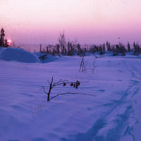 https://arrl-web002.artsrn.ualberta.ca/icrc/ICRC-PDF/Dr. Hunt Photos/Dr. D.E. Hunt photos - Inuvik 1968-69 067.jpg