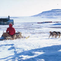 https://arrl-web002.artsrn.ualberta.ca/icrc/ICRC-PDF/Dr. Hunt Photos/Dr. D.E. Hunt photos - Inuvik 1968-69 093.jpg