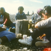 https://arrl-web002.artsrn.ualberta.ca/icrc/201801-upload/Qikiqtaruk - Herschel Island- Cultural Study/2 Herschel Is Cultural Study- Interviews at Shingle Pt July 1990 - Yukon Heritage Branch.jpg