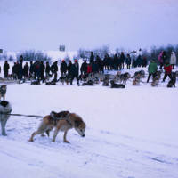 https://arrl-web002.artsrn.ualberta.ca/icrc/ICRC-PDF/Dr. Hunt Photos/Dr. D.E. Hunt photos - Inuvik 1968-69 123.jpg