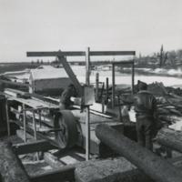 Two Men Cutting Wood