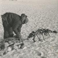 Ren Lake Caribou Hunt 