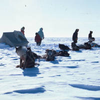 https://arrl-web002.artsrn.ualberta.ca/icrc/ICRC-PDF/Dr. Hunt Photos/Dr. D.E. Hunt photos - Inuvik 1968-69 160.jpg