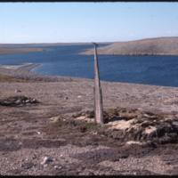 North end of Cape Parry, Whaler's grave (Sept '76)0.jpg