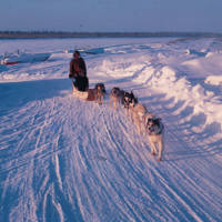 https://arrl-web002.artsrn.ualberta.ca/icrc/ICRC-PDF/Dr. Hunt Photos/Dr. D.E. Hunt photos - Inuvik 1968-69 165.jpg