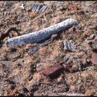 North end of Cape Parry, Bowhead whale rib and other stuff (Sept '76)0.jpg