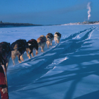 https://arrl-web002.artsrn.ualberta.ca/icrc/ICRC-PDF/Dr. Hunt Photos/Dr. D.E. Hunt photos - Inuvik 1968-69 164.jpg