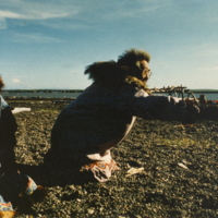 https://arrl-web002.artsrn.ualberta.ca/icrc/201801-upload/Qikiqtaruk - Herschel Island- Cultural Study/HerschelIs-CulturalStudy-JeanTardiffandKathleenHansen-July1990-ShinglePt-YukonHeritageBranch.jpg