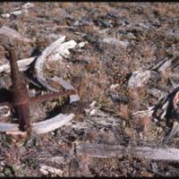 North end of Cape Parry, ship iron and other stuff (Sept '76)0.jpg