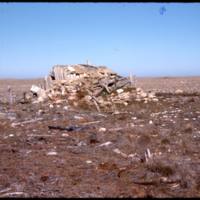 North end of Cape Parry, Whaler's hut (Sept '76)0.jpg