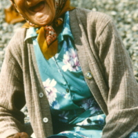 https://arrl-web002.artsrn.ualberta.ca/icrc/201801-upload/Qikiqtaruk - Herschel Island- Cultural Study/Jean Tardiff- Herschel Island Cultural Study Shingle Point- July 1990-Yukon Heritage Branch.jpg